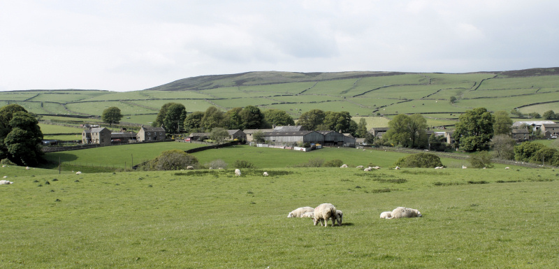 Abney Moor Abney Moor